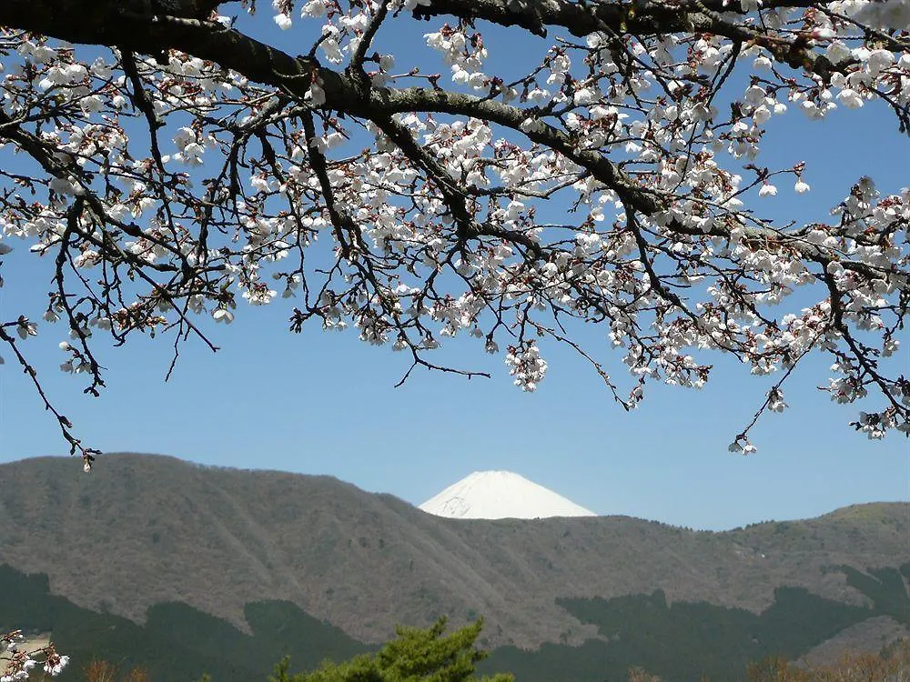 Fujimien Hotel Hakone